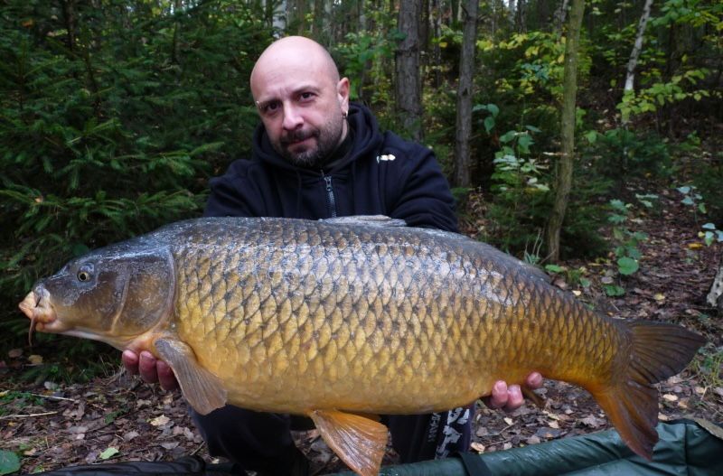 Davidovy úlovky – cesta k Fencl Boilies